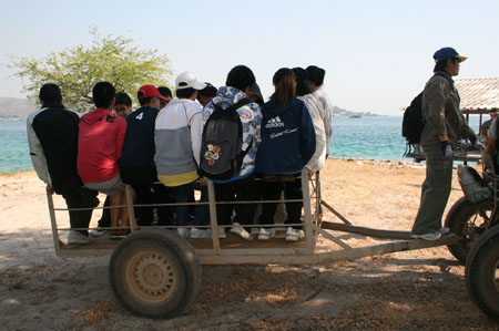 camp11